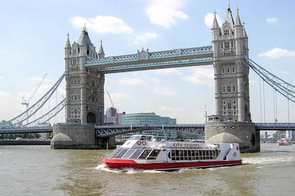 Kryssning på Themsen & 3 timmars rundvandring i Westminster