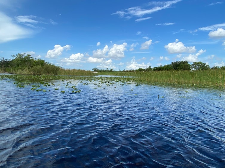 Everglades Admission Ticket with Airboat Ride and Wildlife Show