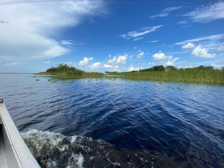 Everglades Admission Ticket with Airboat Ride and Wildlife Show
