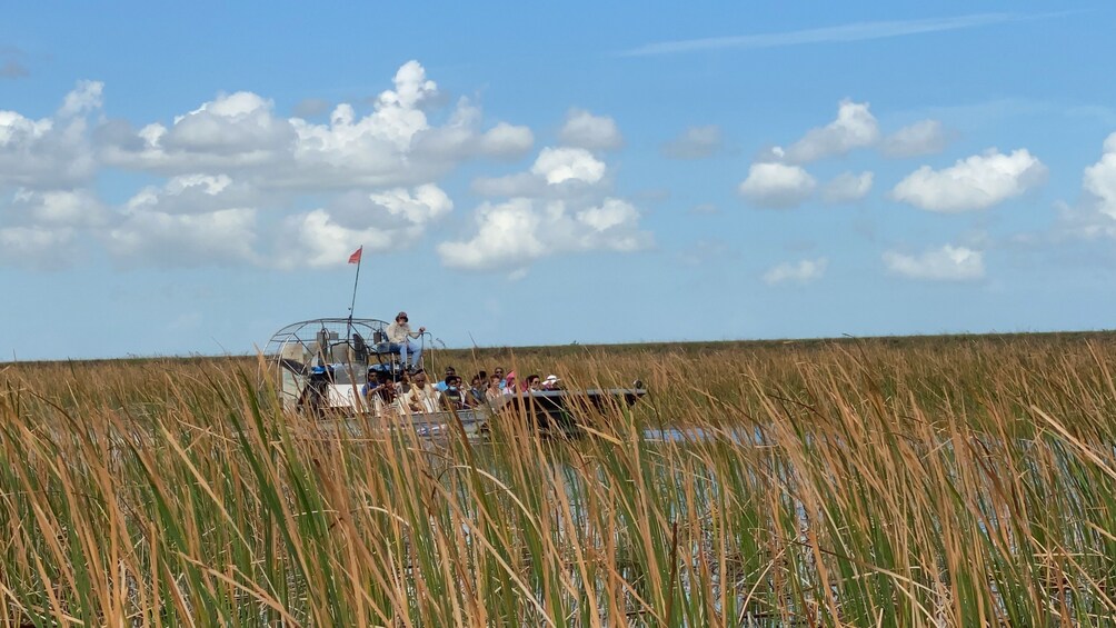 Everglades Admission Ticket with Airboat Ride and Wildlife Show