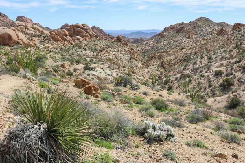 25+ National Park Tours: Self-Guided Driving Bundle