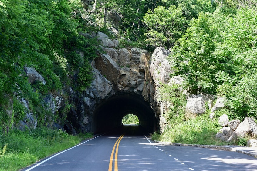 15 National Parks Self-Guided Driving Tours Bundle