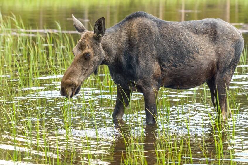 25+ National Park Tours: Self-Guided Driving Bundle