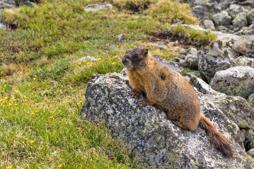 25+ National Park Tours: Self-Guided Driving Bundle