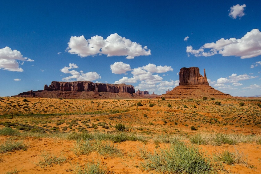 15 National Parks Self-Guided Driving Tours Bundle