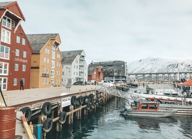 Tromsø: Private City Tour