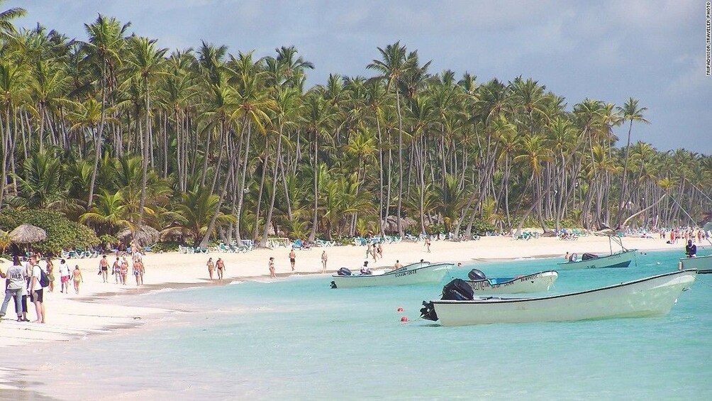 Full day Caribbean Catalina Island with snorkeling 