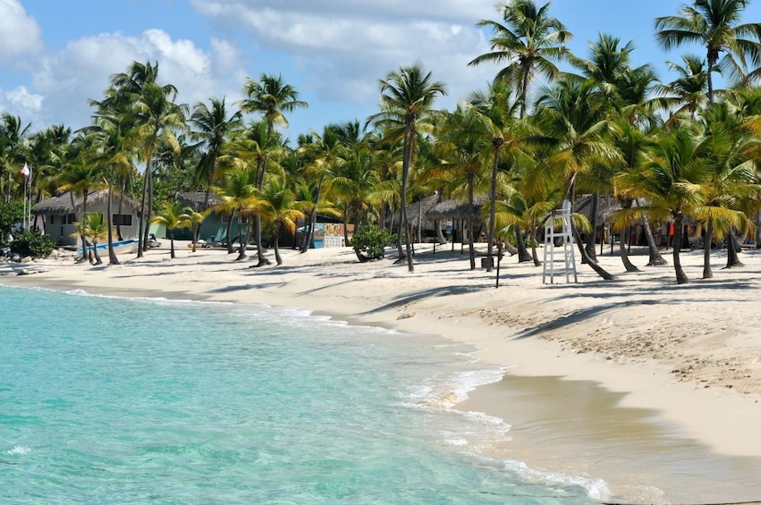 Full day Caribbean Catalina Island with snorkeling