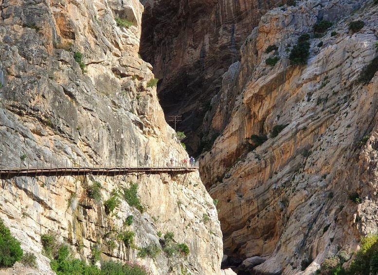 Picture 30 for Activity From Málaga: Caminito del Rey Guided Tour with Bus