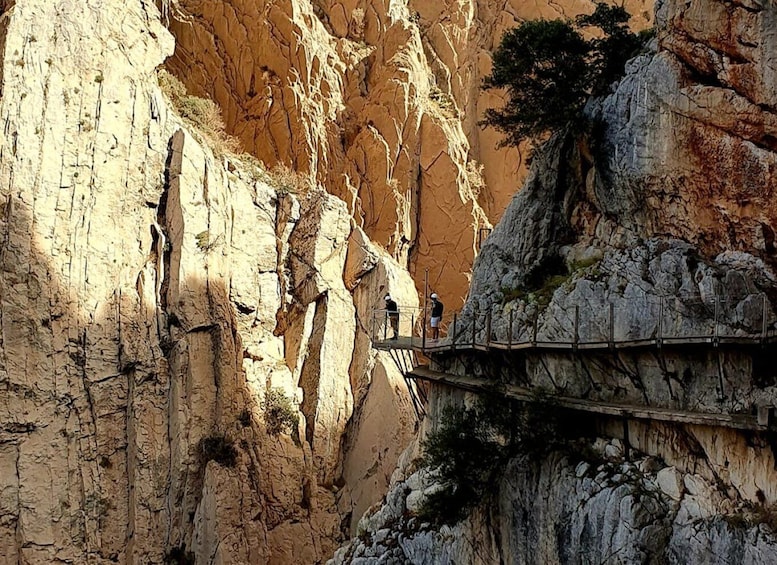 Picture 27 for Activity From Málaga: Caminito del Rey Guided Tour with Bus