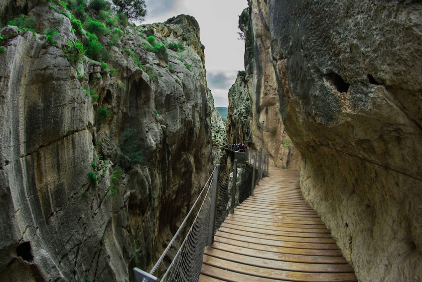 Picture 6 for Activity From Málaga: Caminito del Rey Guided Tour with Bus