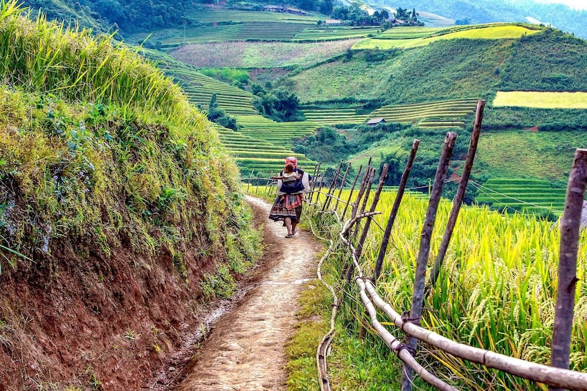 Sapa Valley Full Day Walking Tour