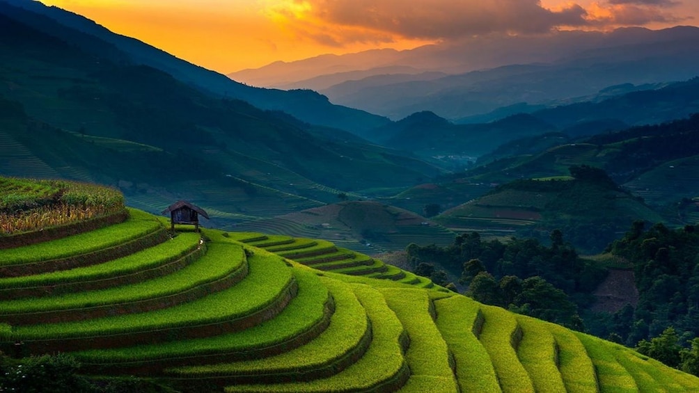 Rice terraces mountain landscape of Sapa Valley 