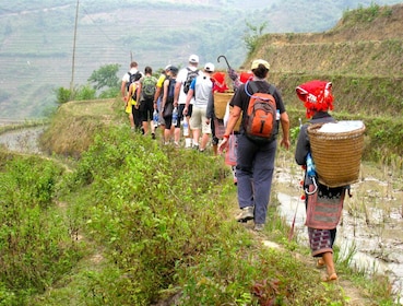 Tour a pie de día completo por el valle de Sapa