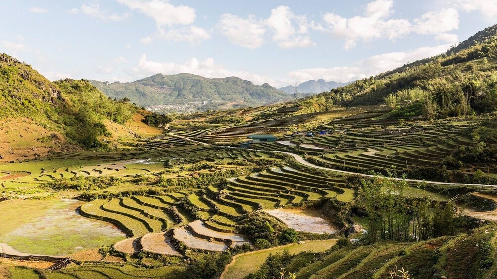 Terraced fields of Sa Pa Valley on a sunny day