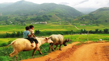 Sapa Walking from Hmong Villages to Taphin Full Day Tour