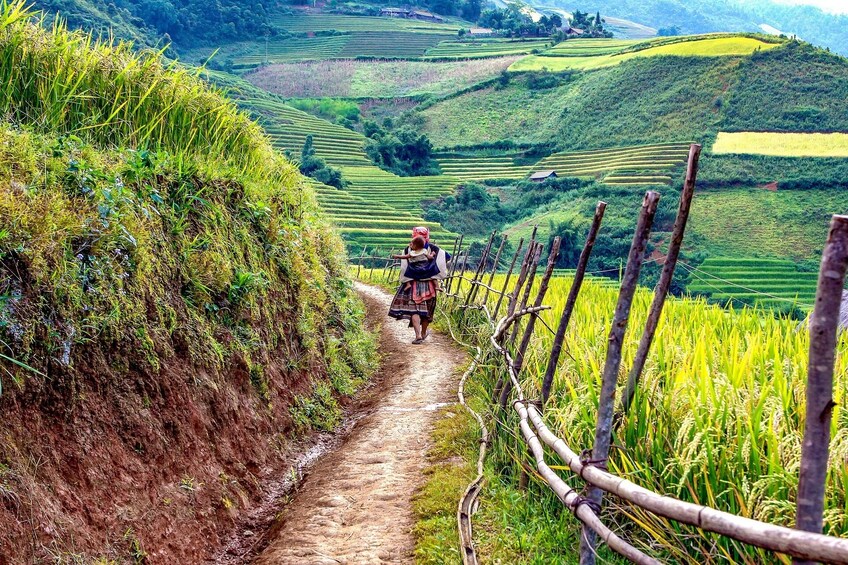 Sapa Walking from Hmong Villages to Taphin Full Day Tour