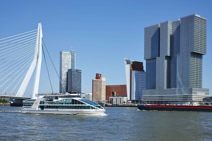 Rotterdam : Visite du port croisière