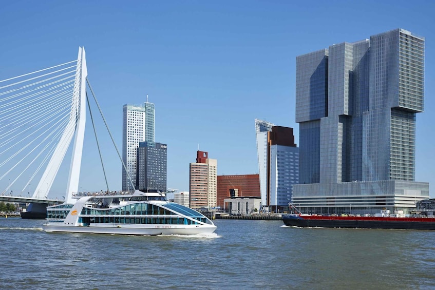 Rotterdam: Harbour Boat Tour