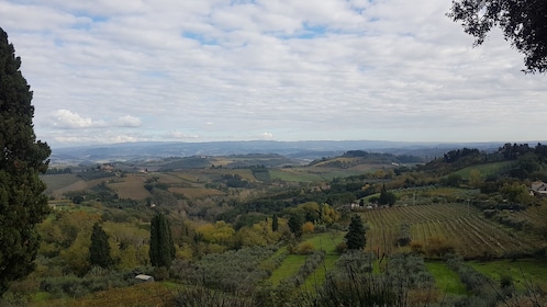 Semi-Private Tour Siena and San Gimignano Wine Tasting from Rome