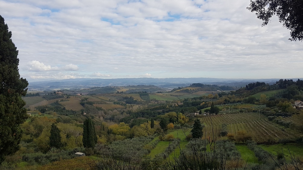 Small Group Tuscany wine tour, Siena and S. Gimignano