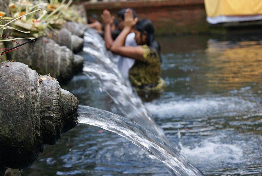 Fascinating Ubud and Tampak Siring Half Day Private tour