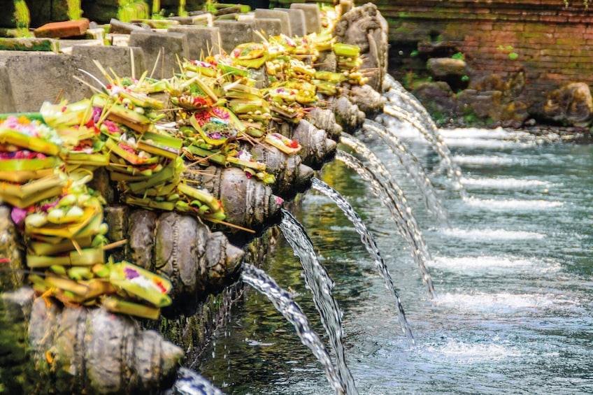 Fascinating Ubud and Tampak Siring Half Day Private tour