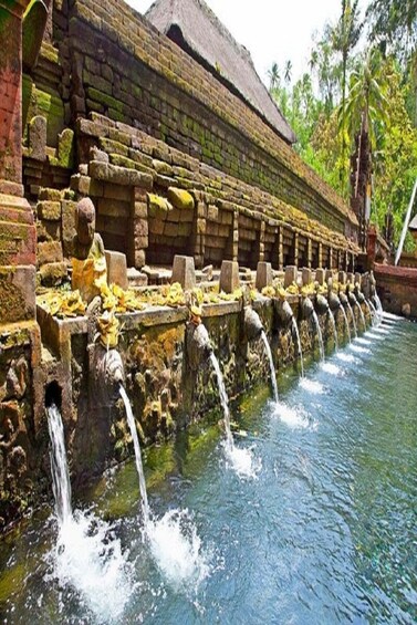 Private Tour: Half-Day Ubud and Tampak Siring Tour from Bali