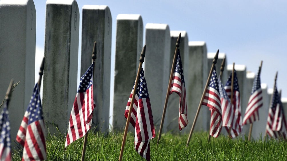 Show item 1 of 10. Arlington National Cemetery & DC Highlights Tour