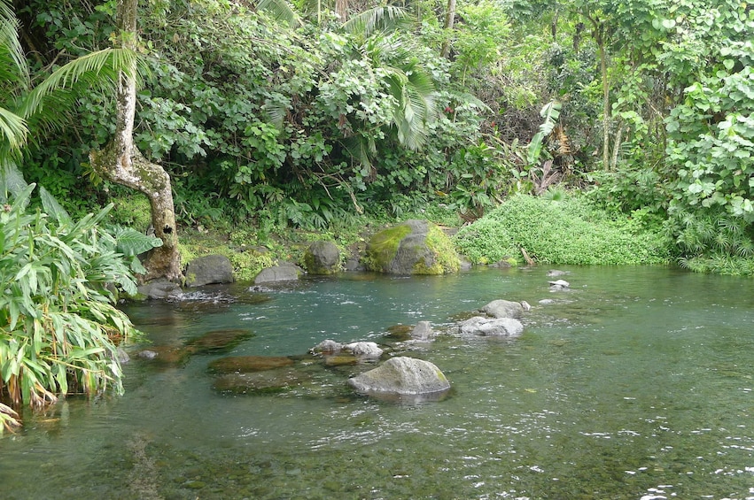 Stream in Tahiti