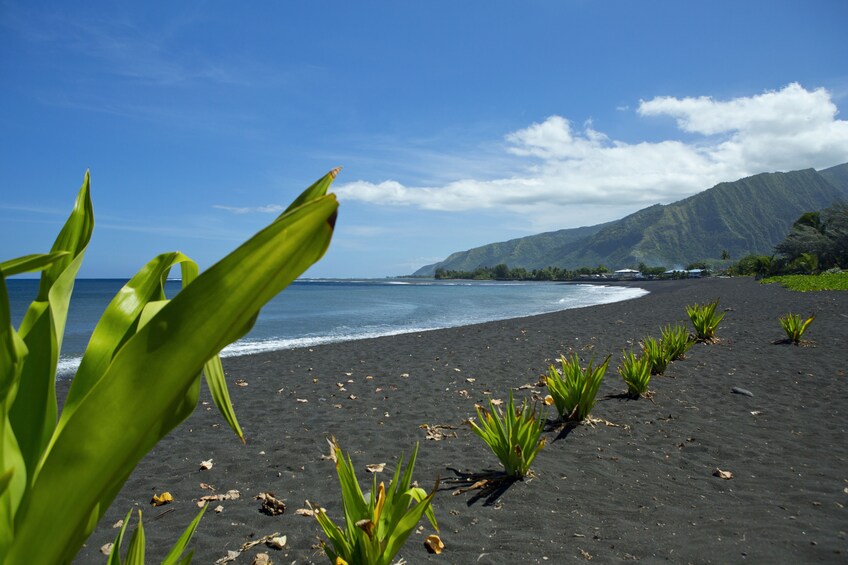 Full-Day Authentic Tahiti West Coast Discovery