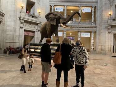 Tur Berpemandu ke Museum Sejarah Alam Nasional Smithsonian
