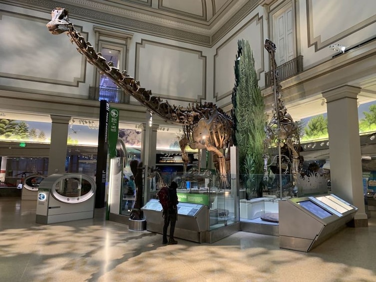 Smithsonian National Museum of Natural History Guided Tour
