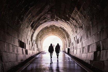 Niagara Underground: Power Station & Tunnel Under Falls Tour