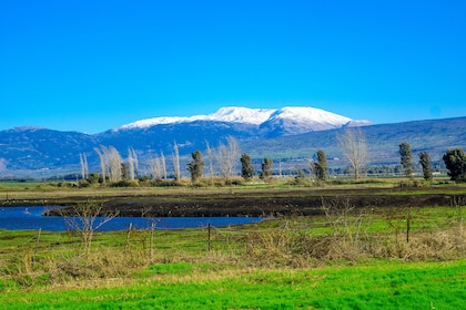 Golanin kukkulat päiväretki Tel Avivista