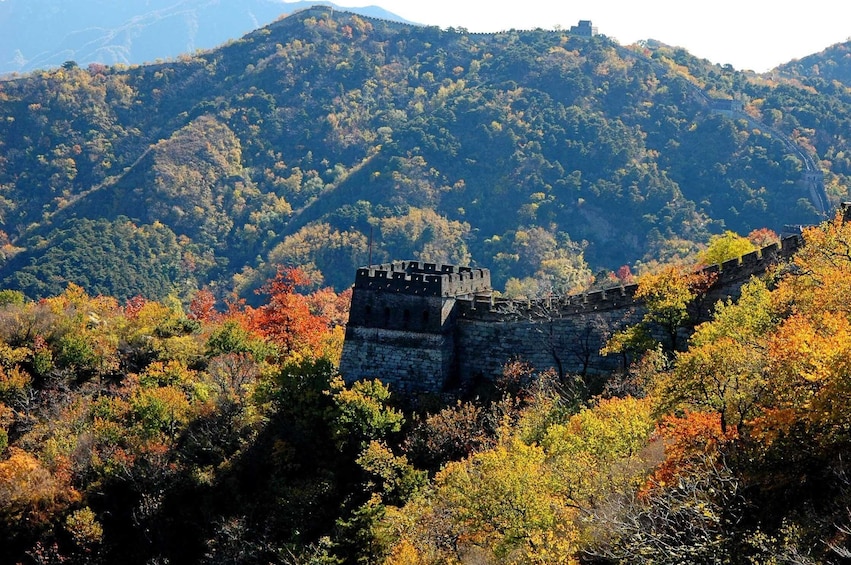 Great Wall at Mutianyu Section One Day Tour with Lunch