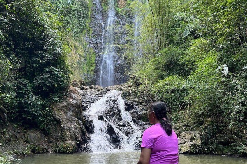 Private Rainforest Hike to Hidden Waterfall Tour with Transport