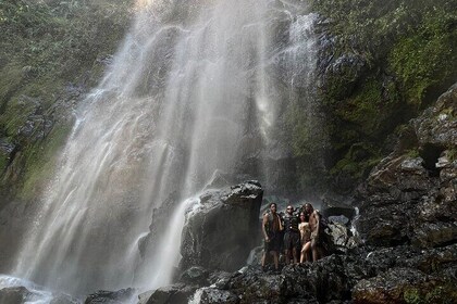 Rainforest Hike to Hidden Waterfall in Puerto Rico with Transport