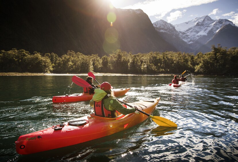 Milford Sound Coach, Cruise & Kayak Tour with Lunch