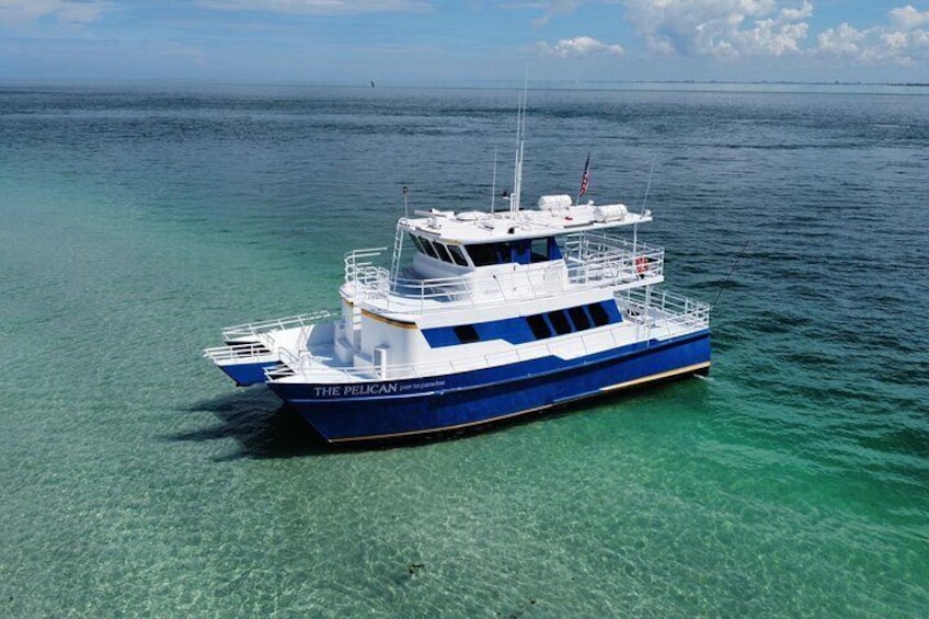 The Pelican - St. Pete Pier to Egmont Key.