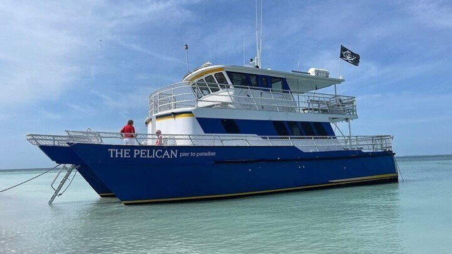 4-Hour St. Pete Pier to Egmont Key Experience by Ferry