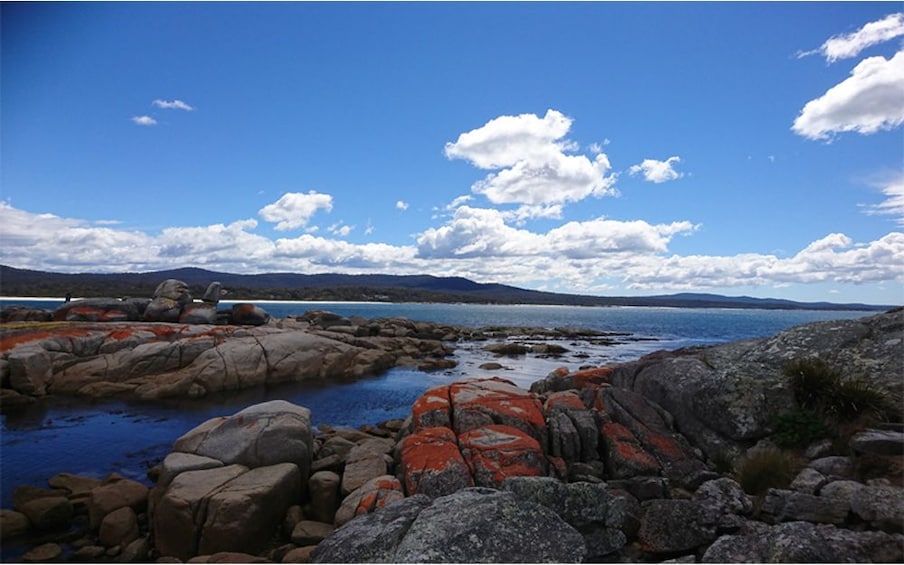 Show item 1 of 10. Bay of Fires Day Tour