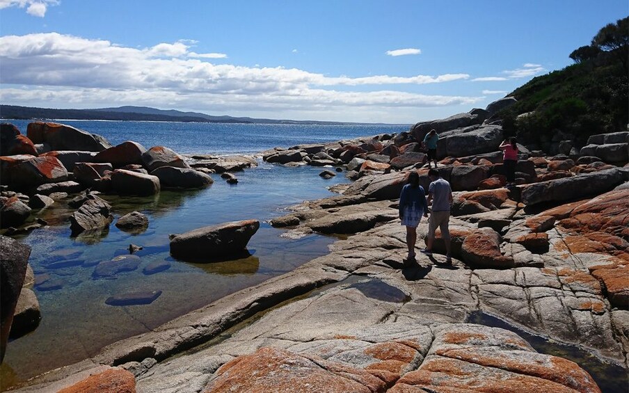 Show item 3 of 10. Bay of Fires Day Tour