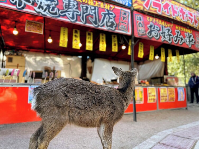 Peaceful Hiroshima & Miyajima UNESCO 1 Day Bus Tour
