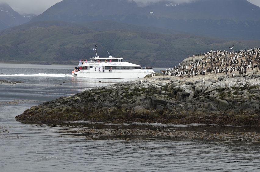Beagle Channel Boat Tour with Sea Lions Island