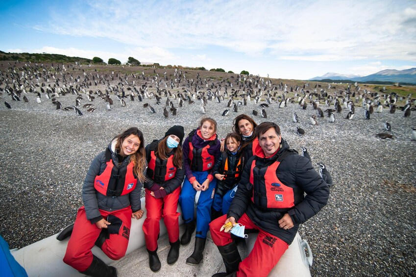 Gable Island Boat Tour & Penguin Watching