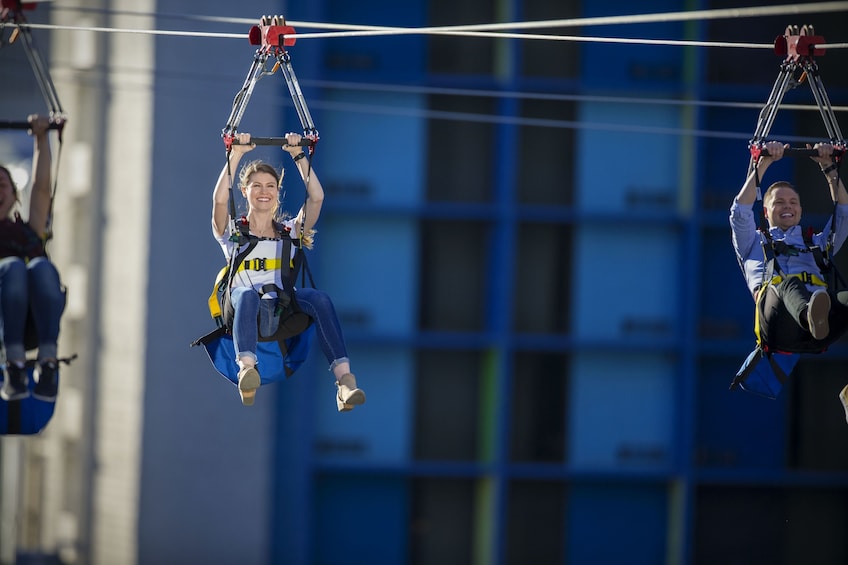 Fly LINQ Zipline