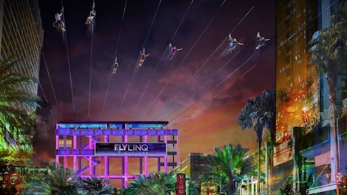 Fly LINQ Zipline 飛索之旅