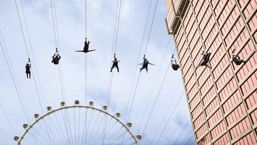 Fly LINQ Zipline