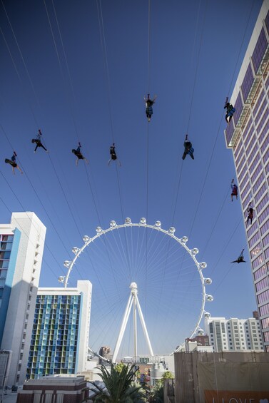 Fly LINQ Zipline